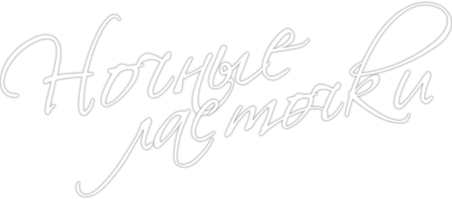 Ночные ласточки