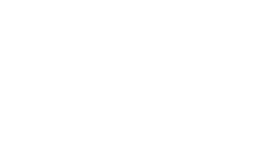 Селфи на память