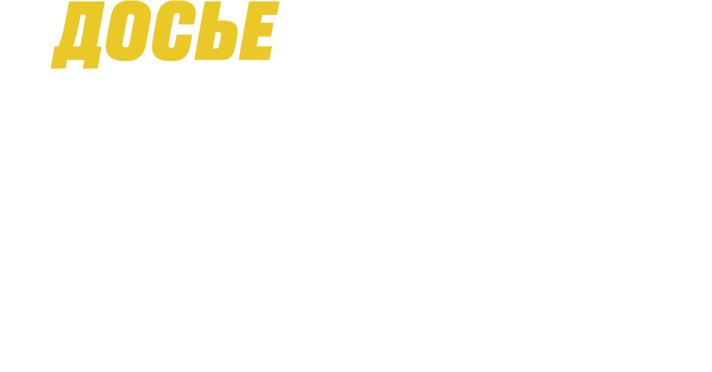 Досье «Чёрная канарейка»
