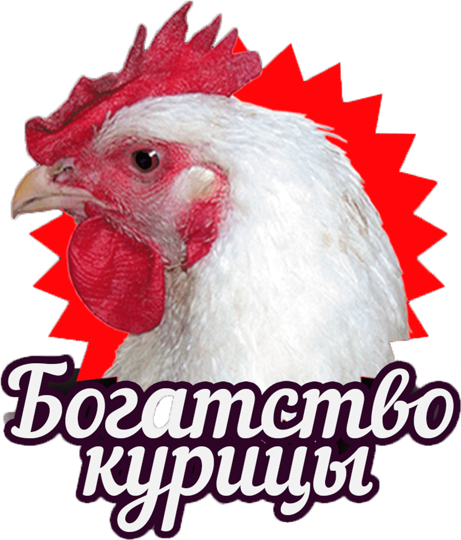 Богатство курицы