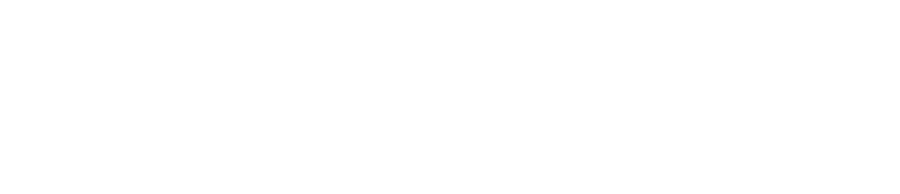 Механик (2012)