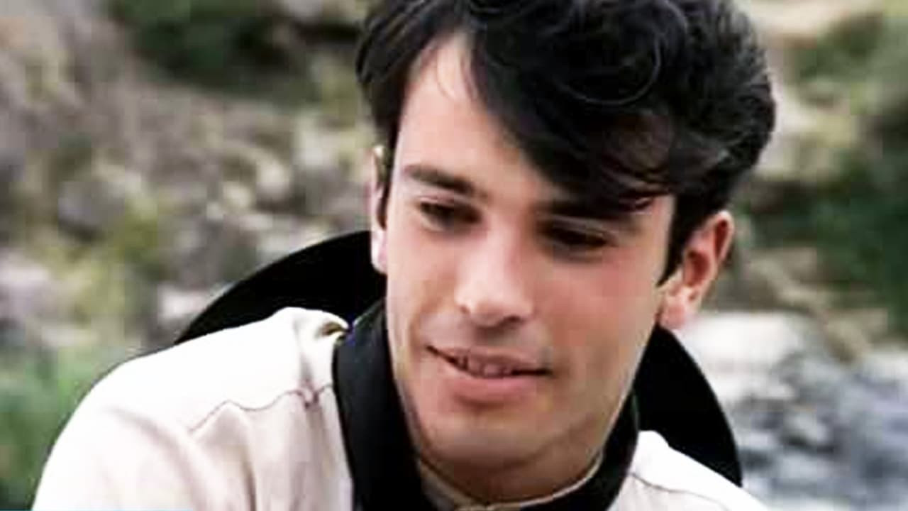 Желтые цветы в окне