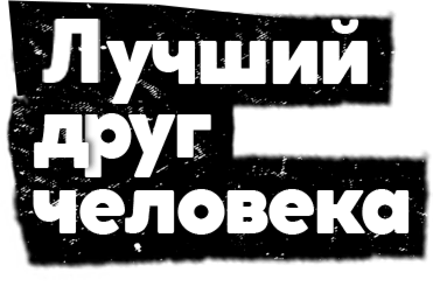 Лучший друг человека