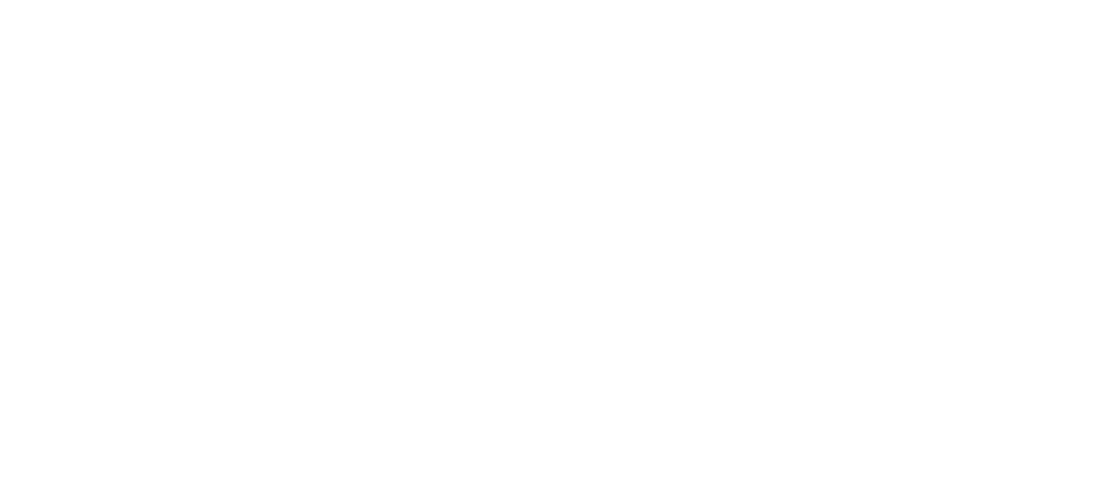 Дорогой Вилли. Настоящая история