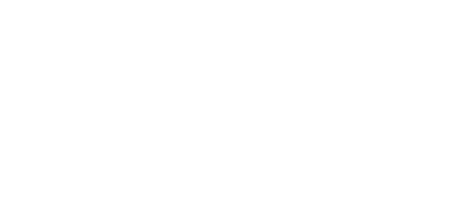 Дорогой Вилли. Настоящая история