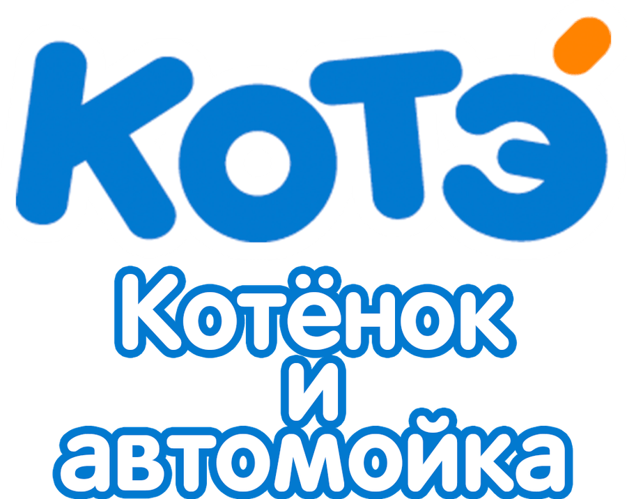 Котенок и автомойка