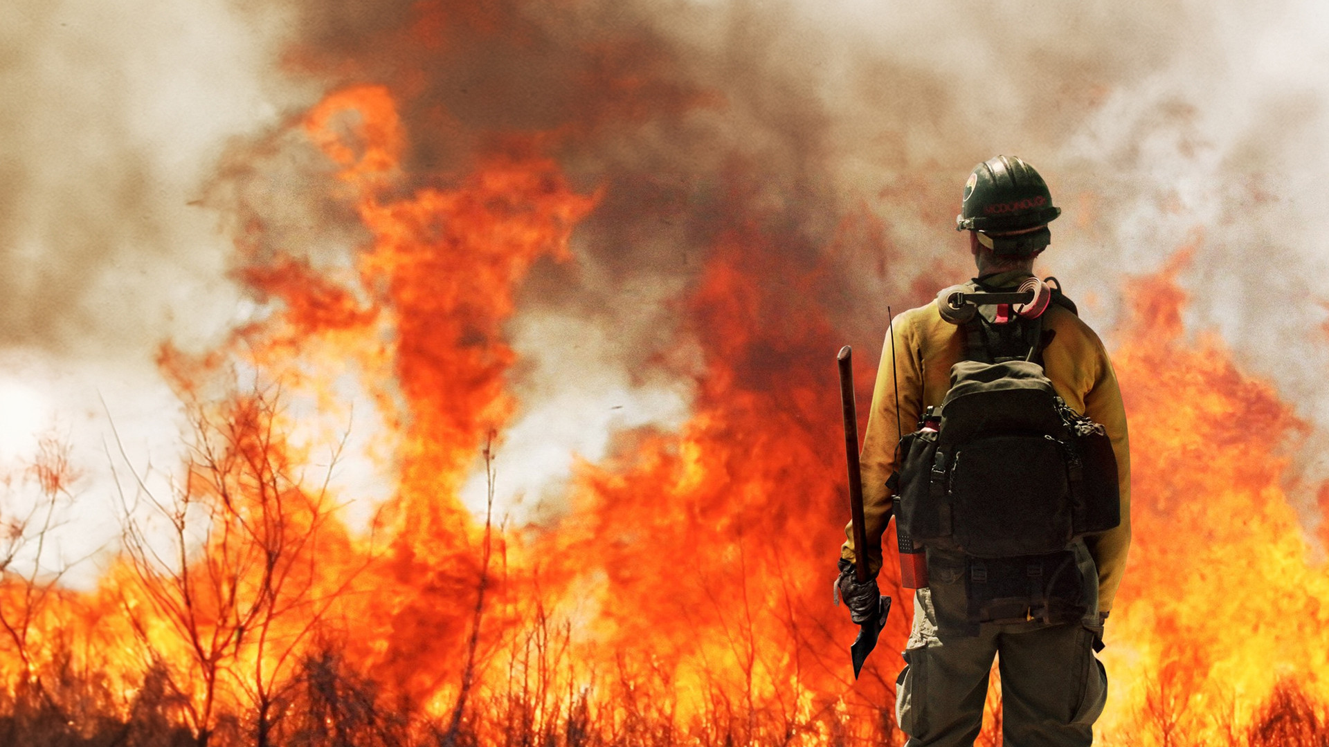 Дело храбрых