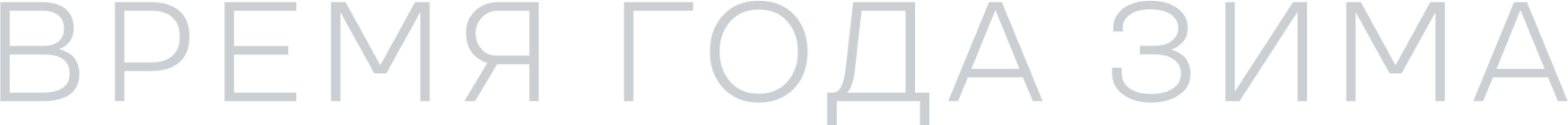 Время года зима