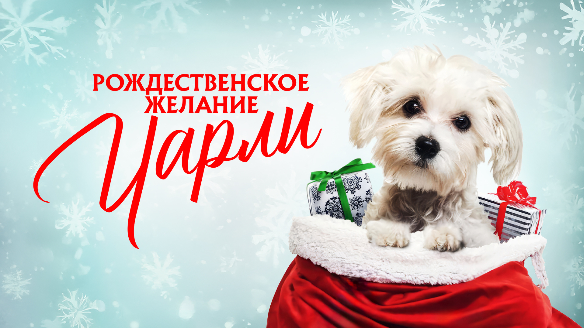 Рождественское желание Чарли