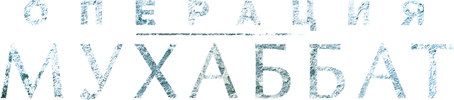 Операция Мухаббат