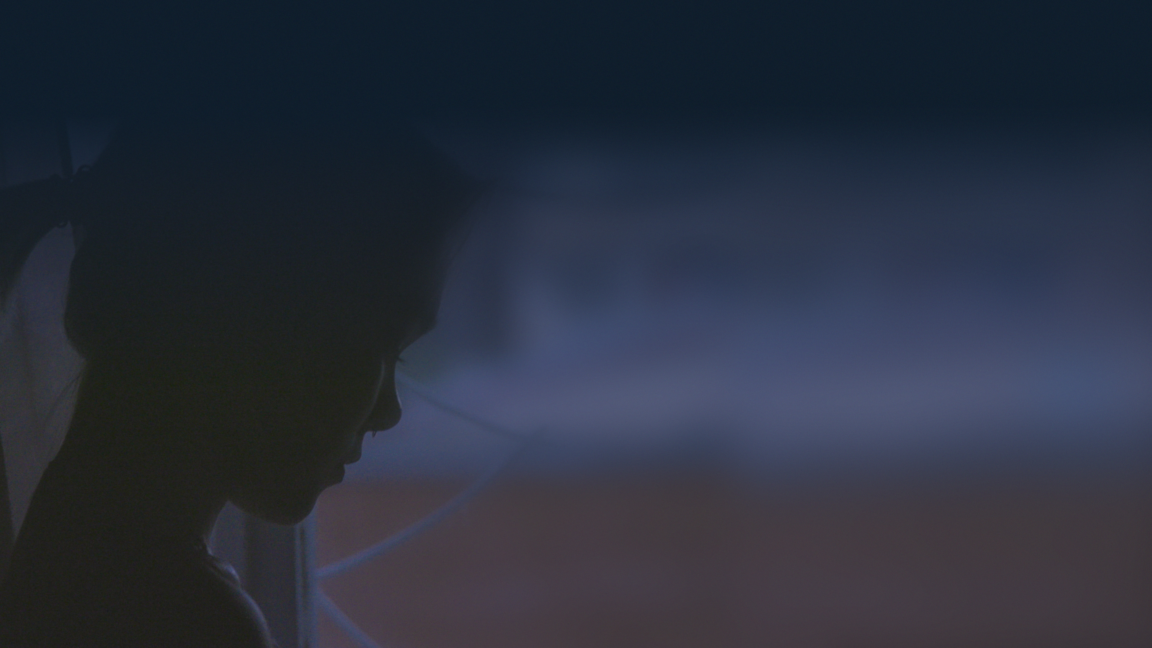 Ещё один длинный день