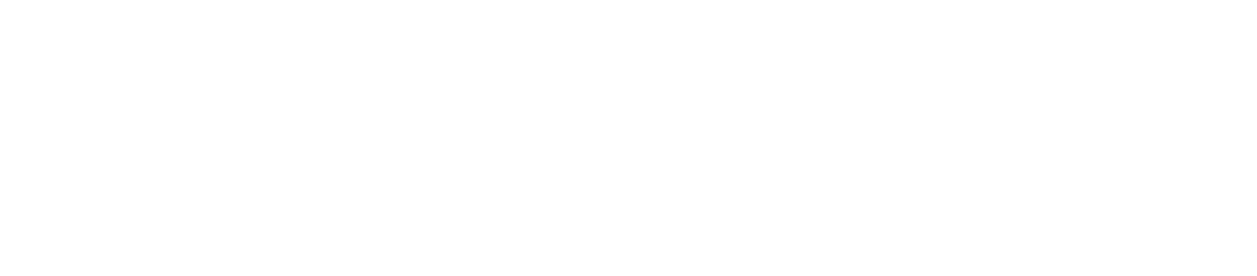 Защитник (2012)