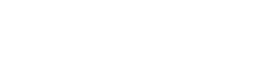 Защитник (2012)