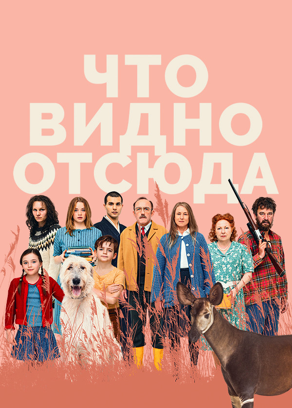 Что видно отсюда