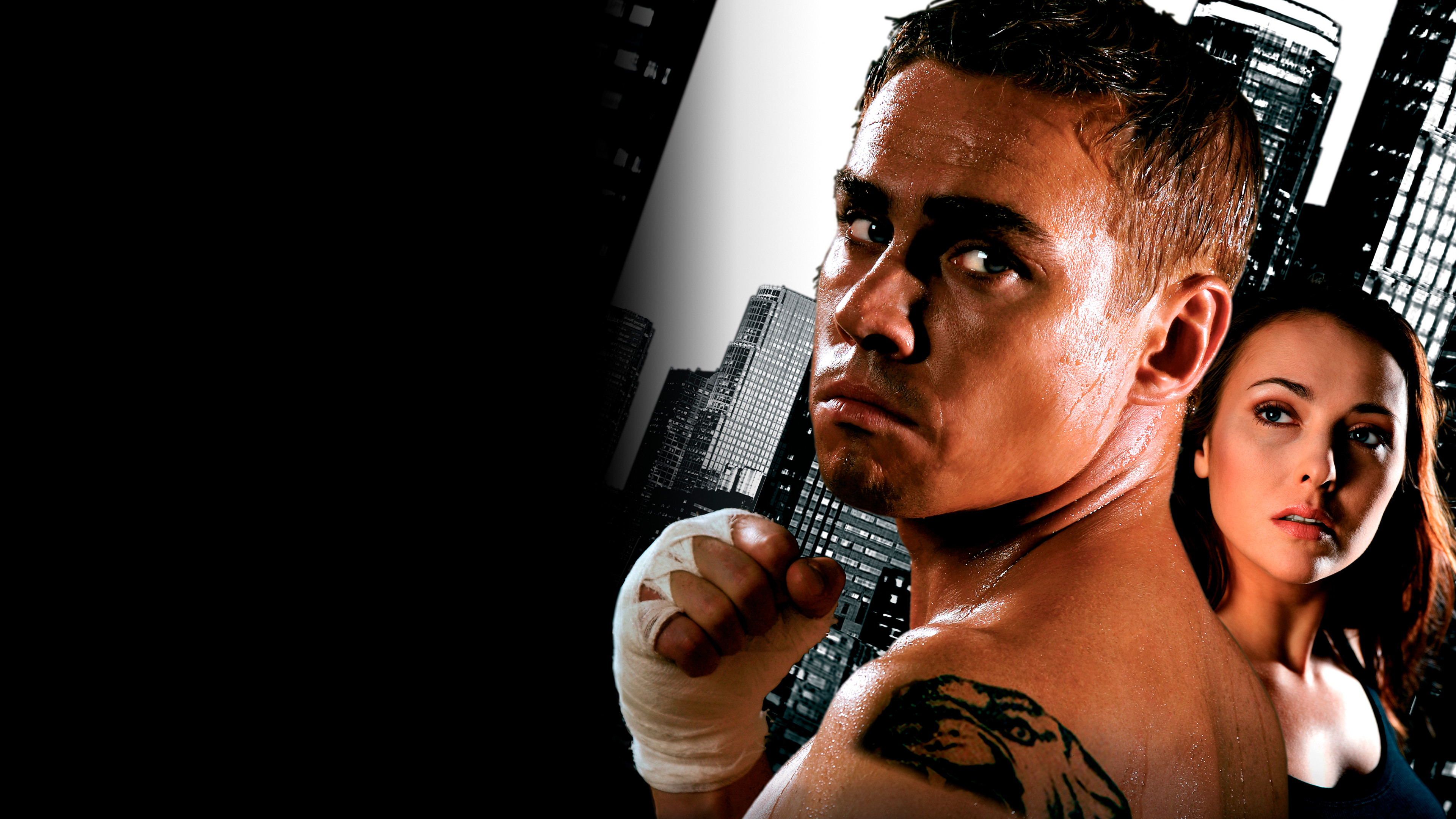 Бой с тенью 2: Реванш