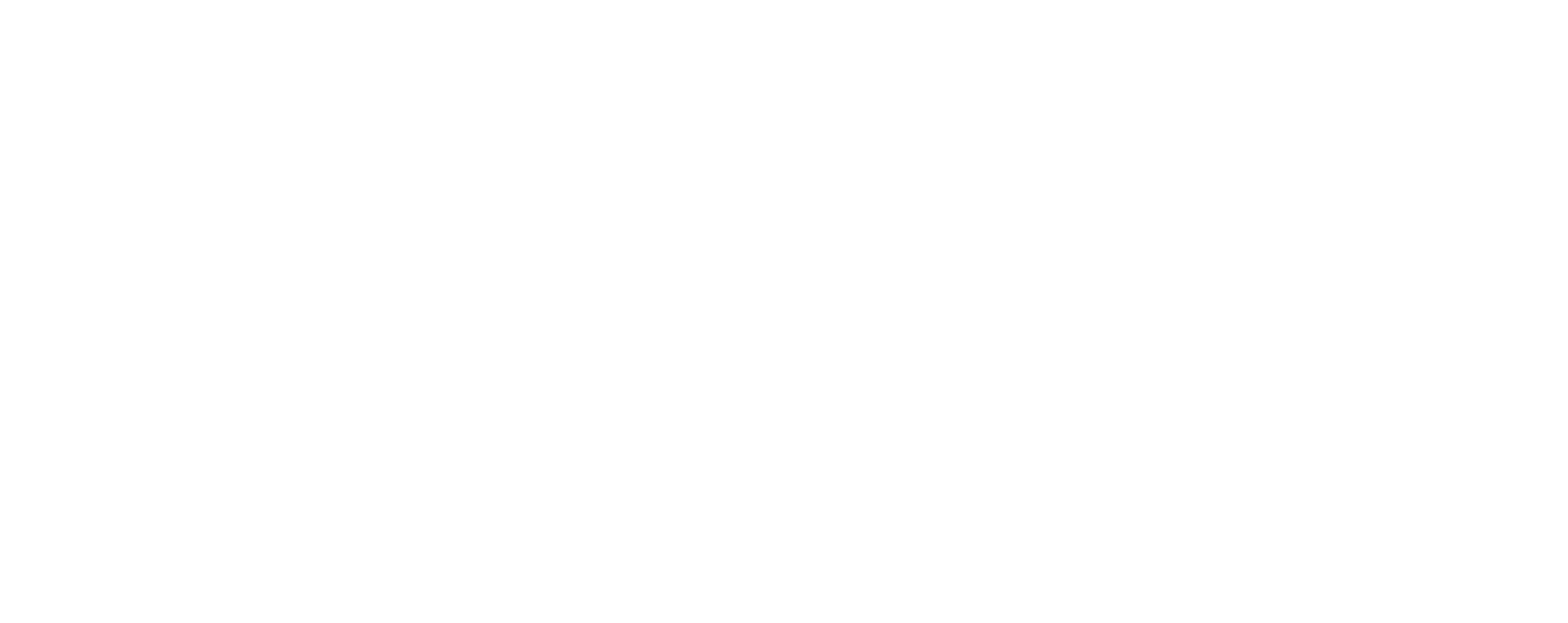 Победивший время