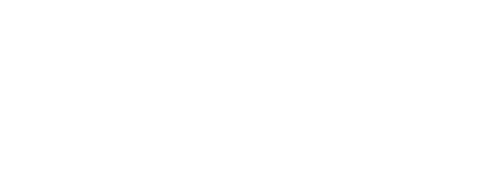 Северная звезда (2020)