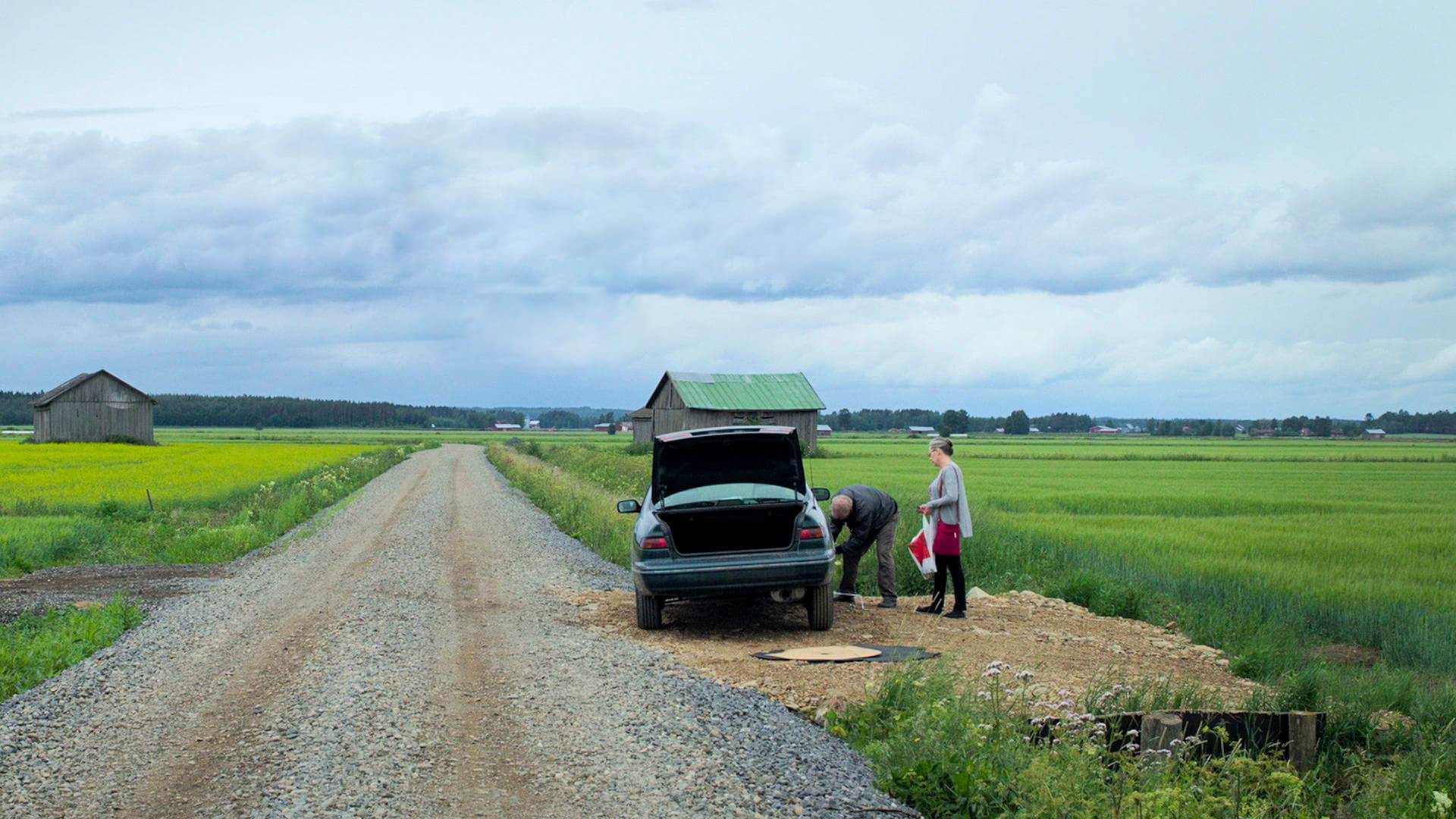 Народное радио: Баллады из лесной страны