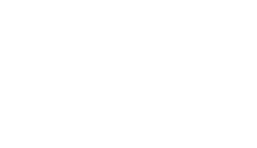 Черданцев против япперов