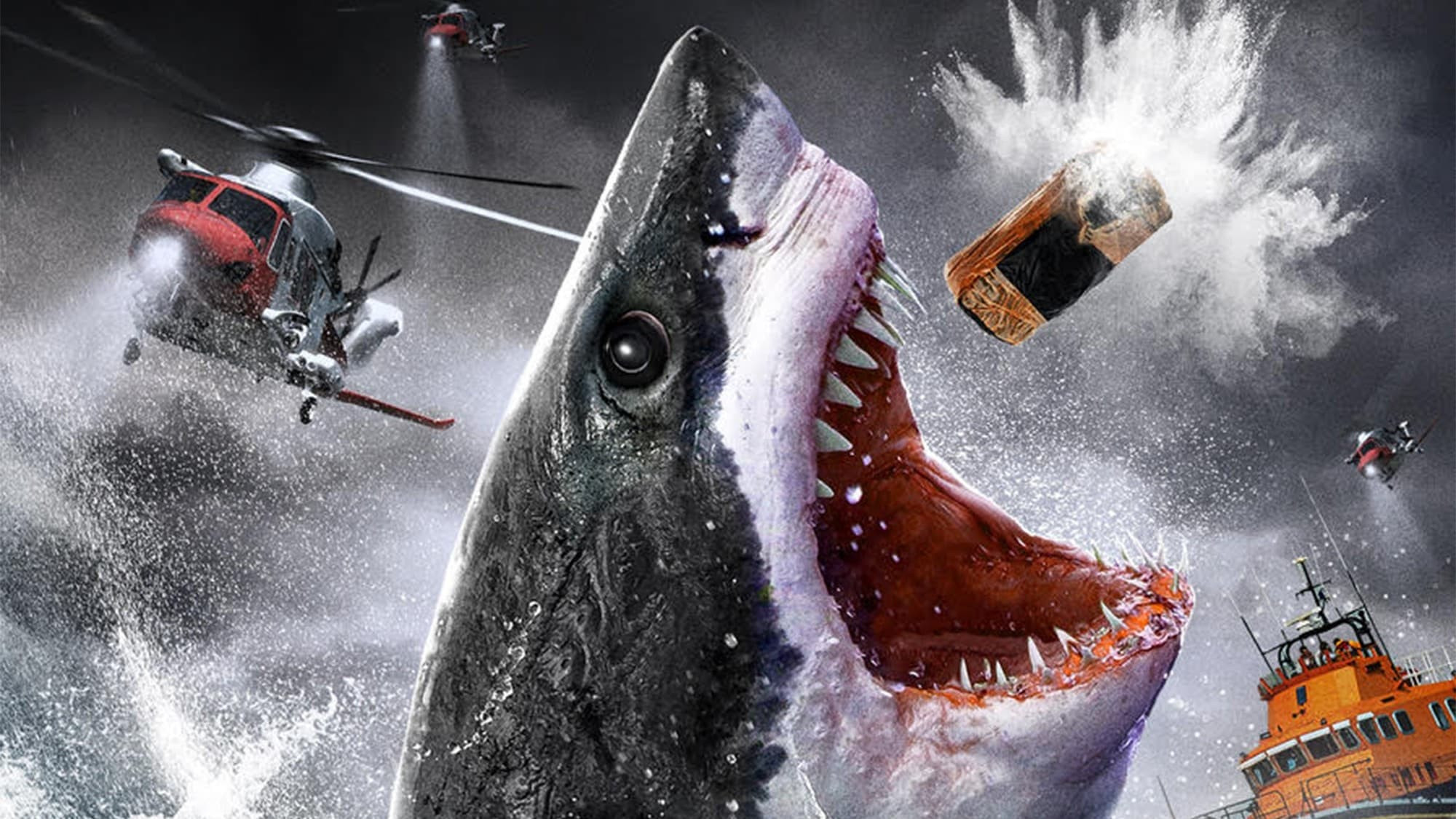 Кокаиновая акула