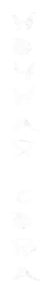 Ночная сова