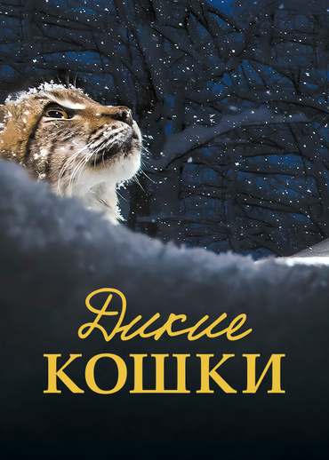 Дикие кошки