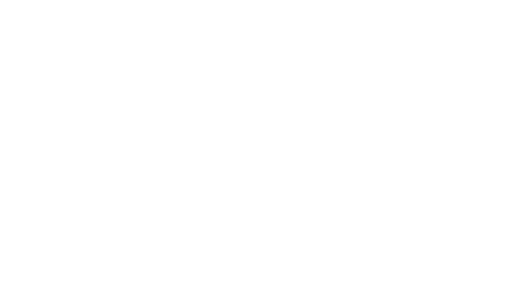 Профессионал (2011)