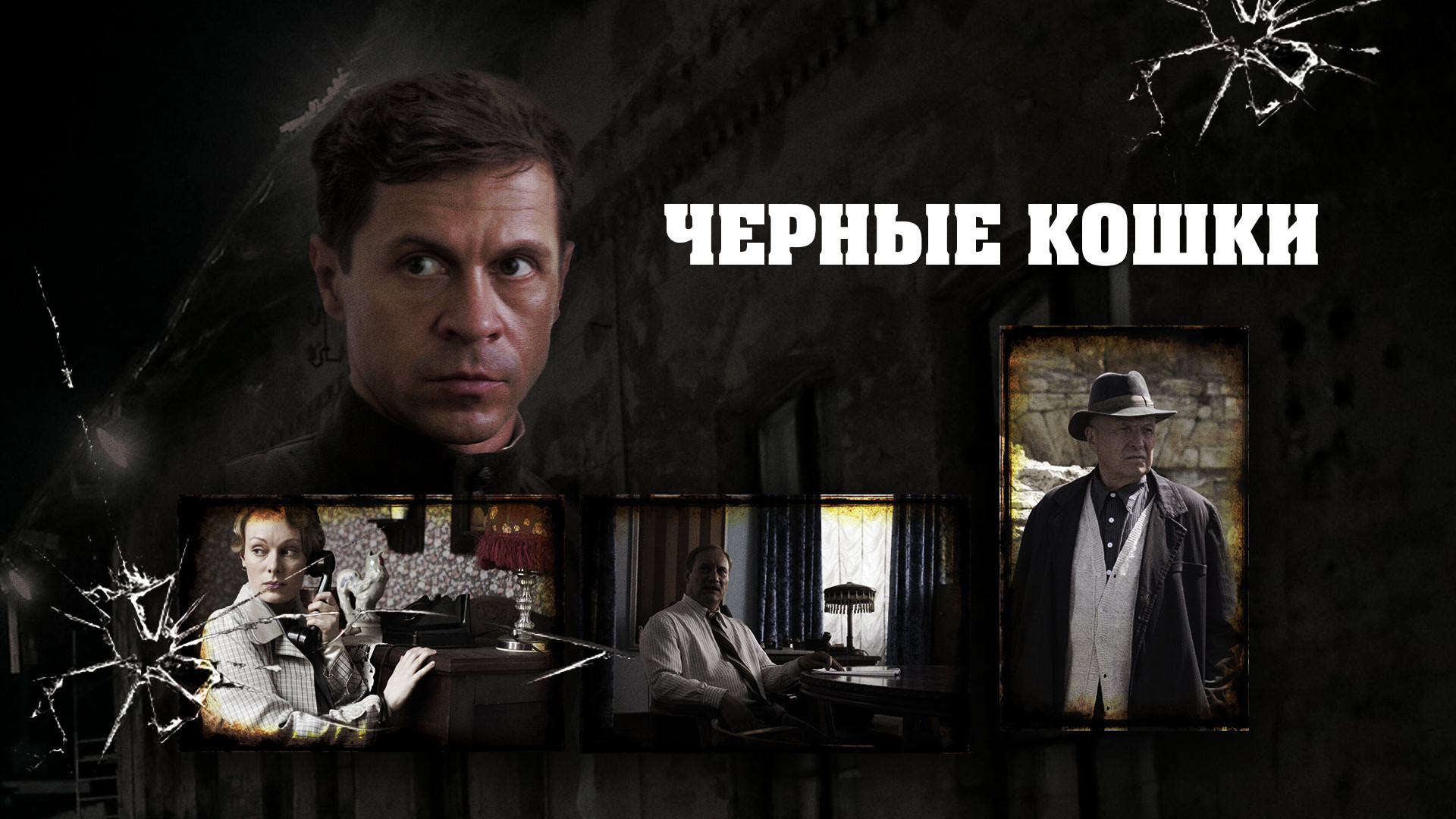 Черные кошки