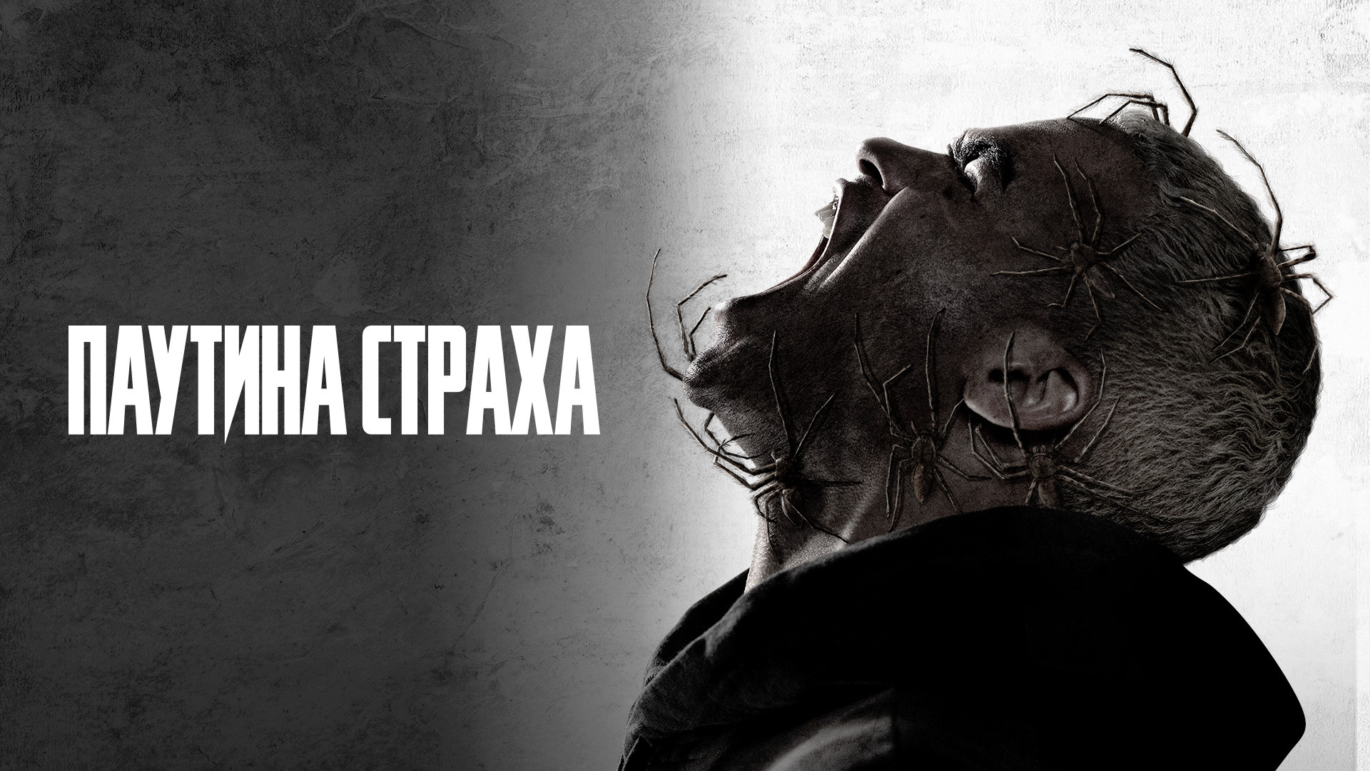 Паутина страха