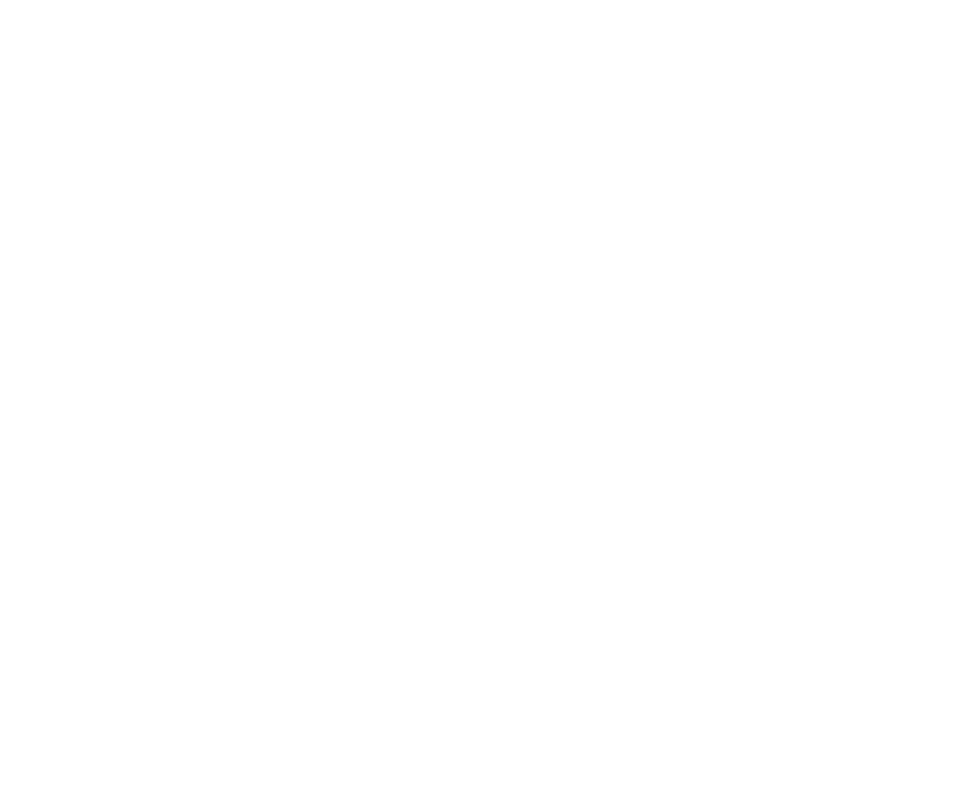 Лето на память