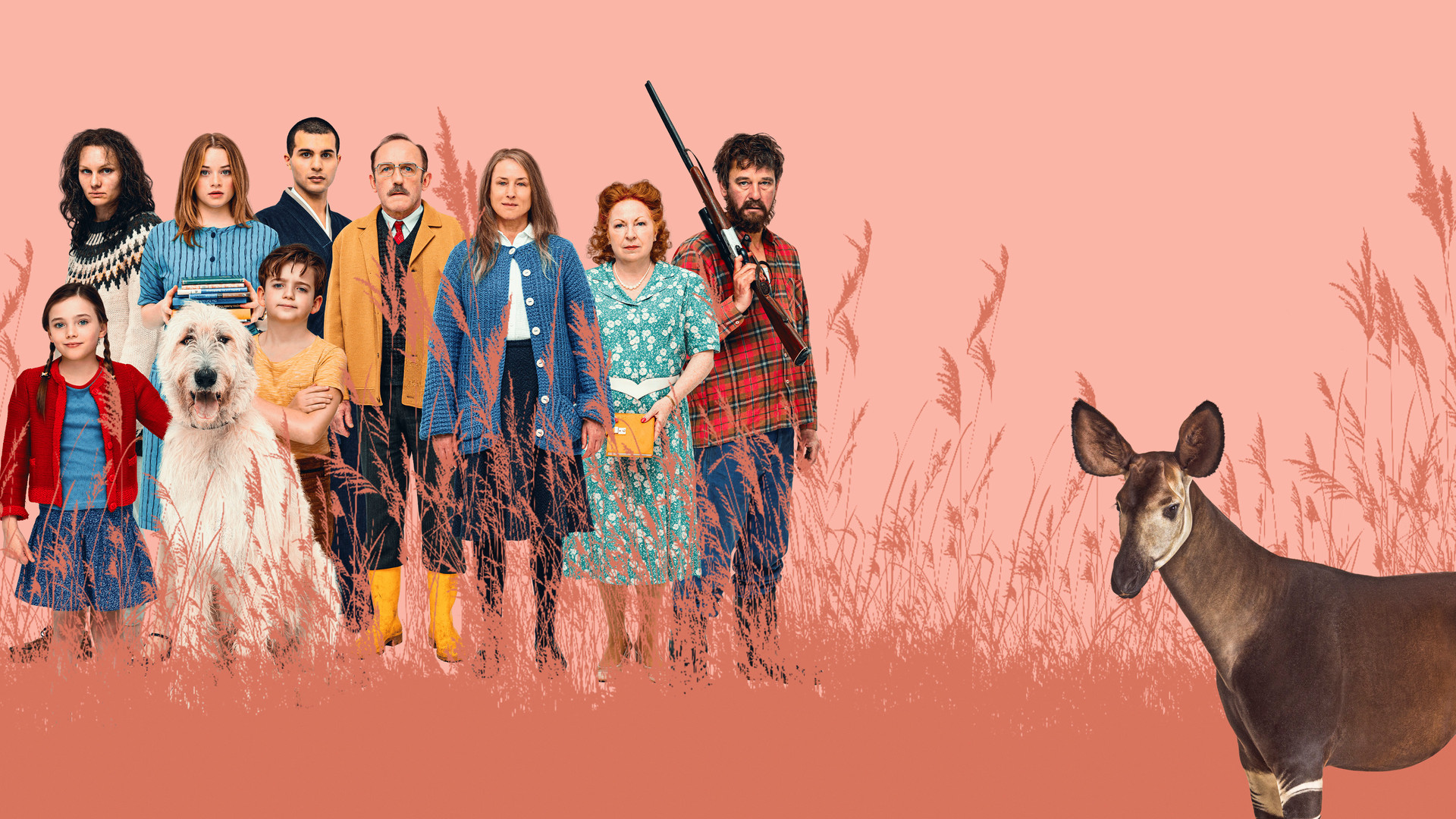 Что видно отсюда