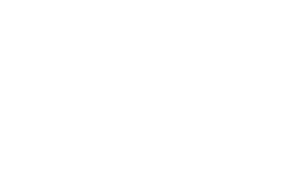 По имени Барон…