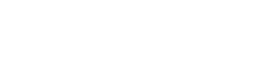 Одиннадцать молчаливых мужчин