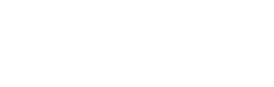 Одиннадцать молчаливых мужчин