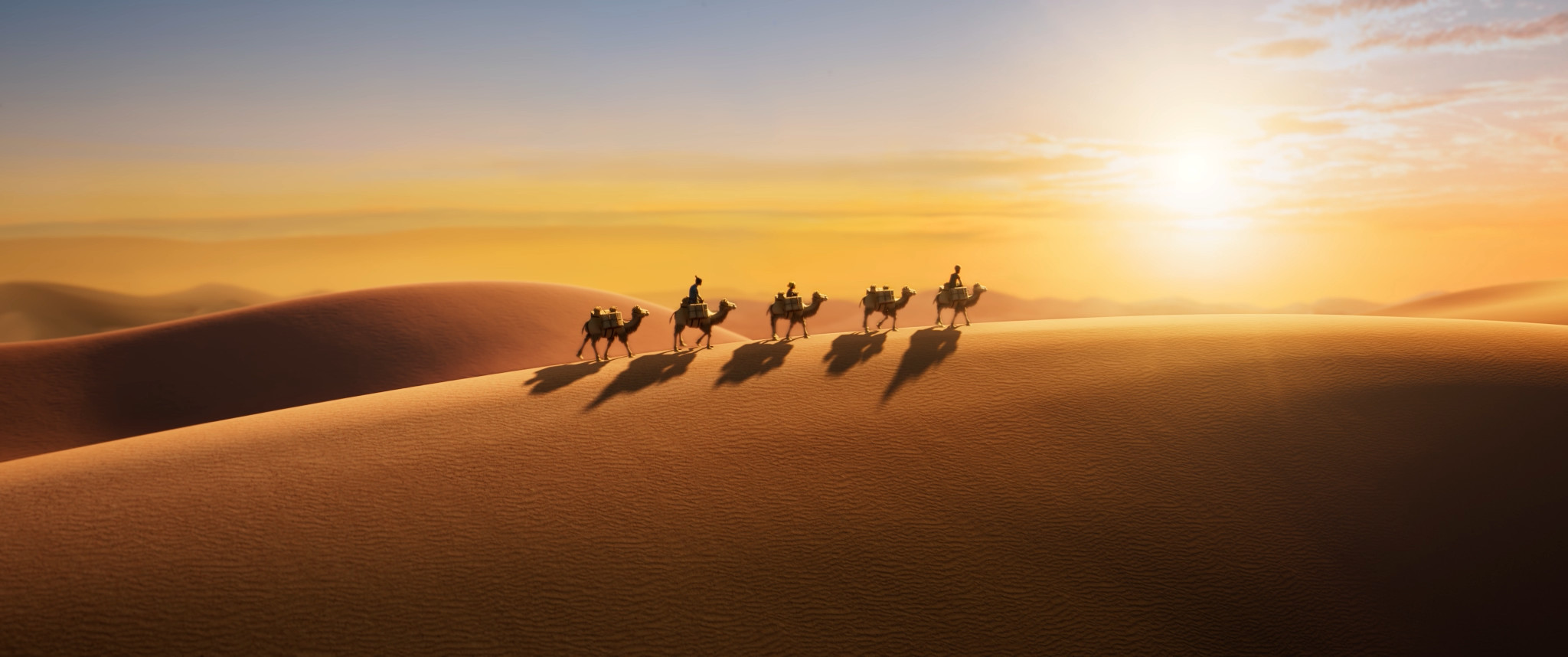 Беги, тигр, беги!