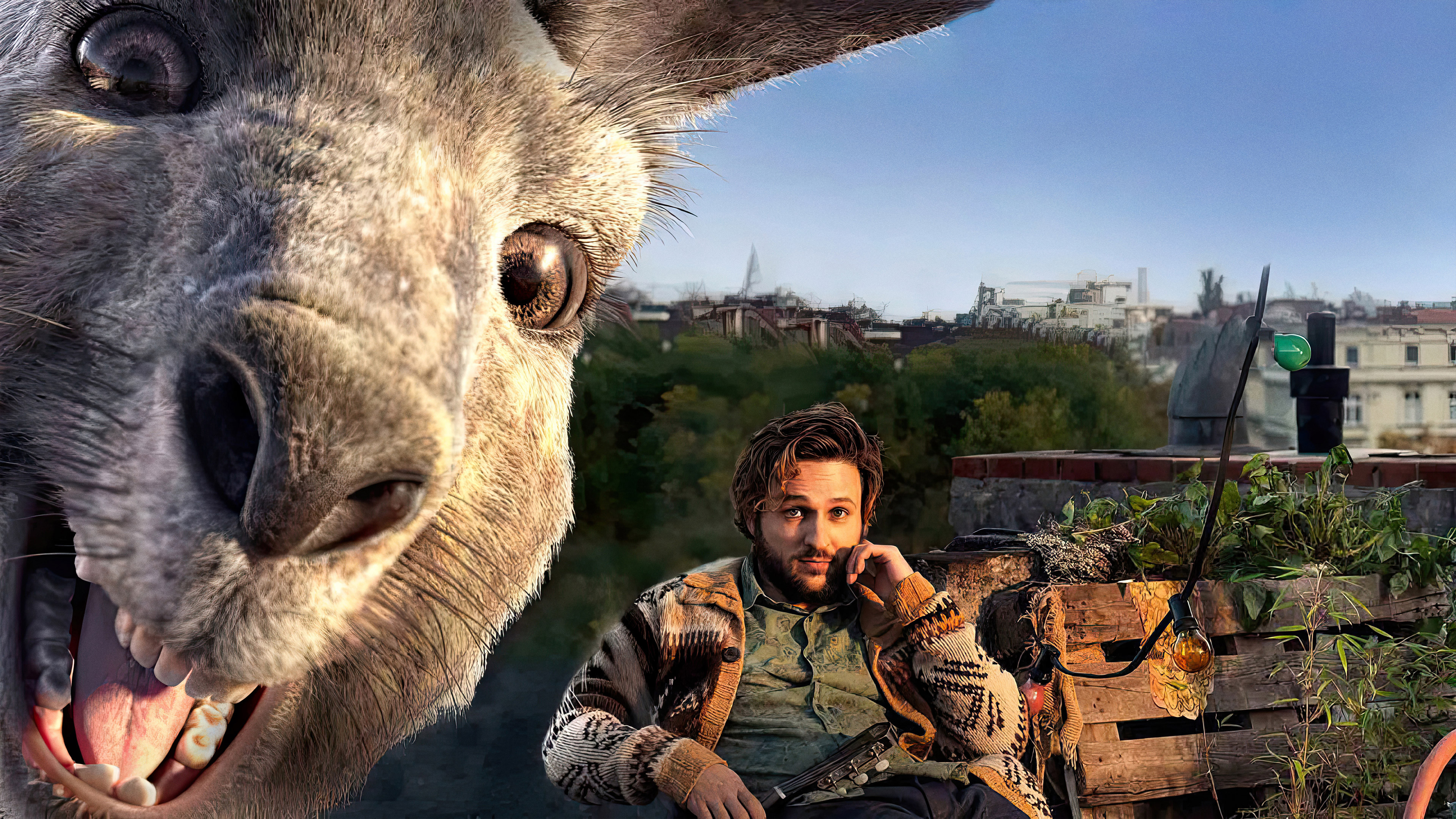 Осторожно, Кенгуру!