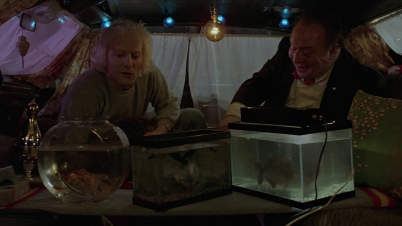 При свете луны