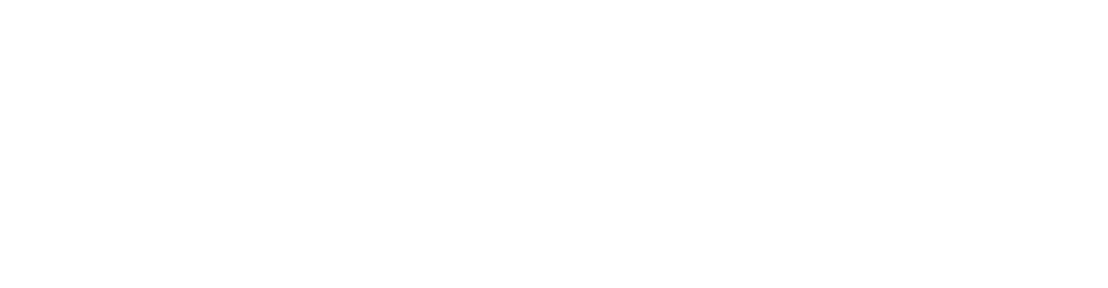 Таксопарк №13