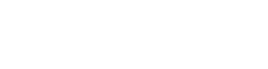 Таксопарк №13