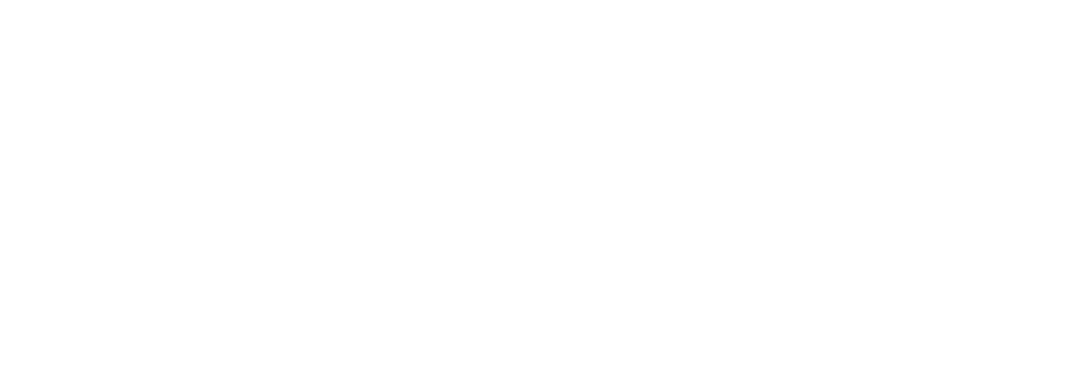 Гномы. Новогодний беспредел
