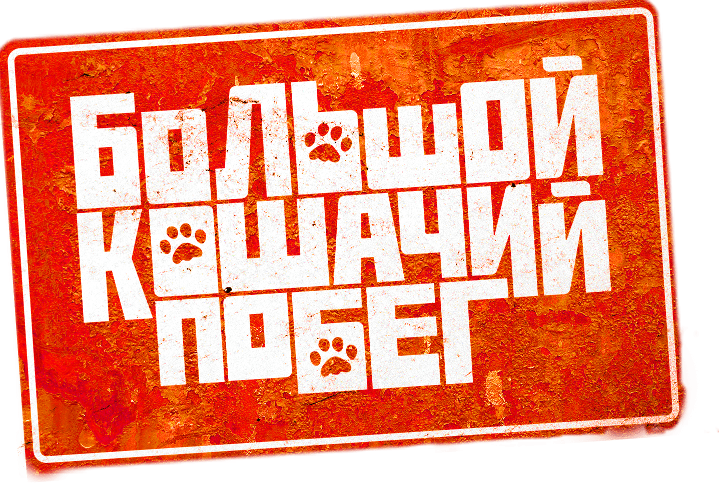 Большой кошачий побег