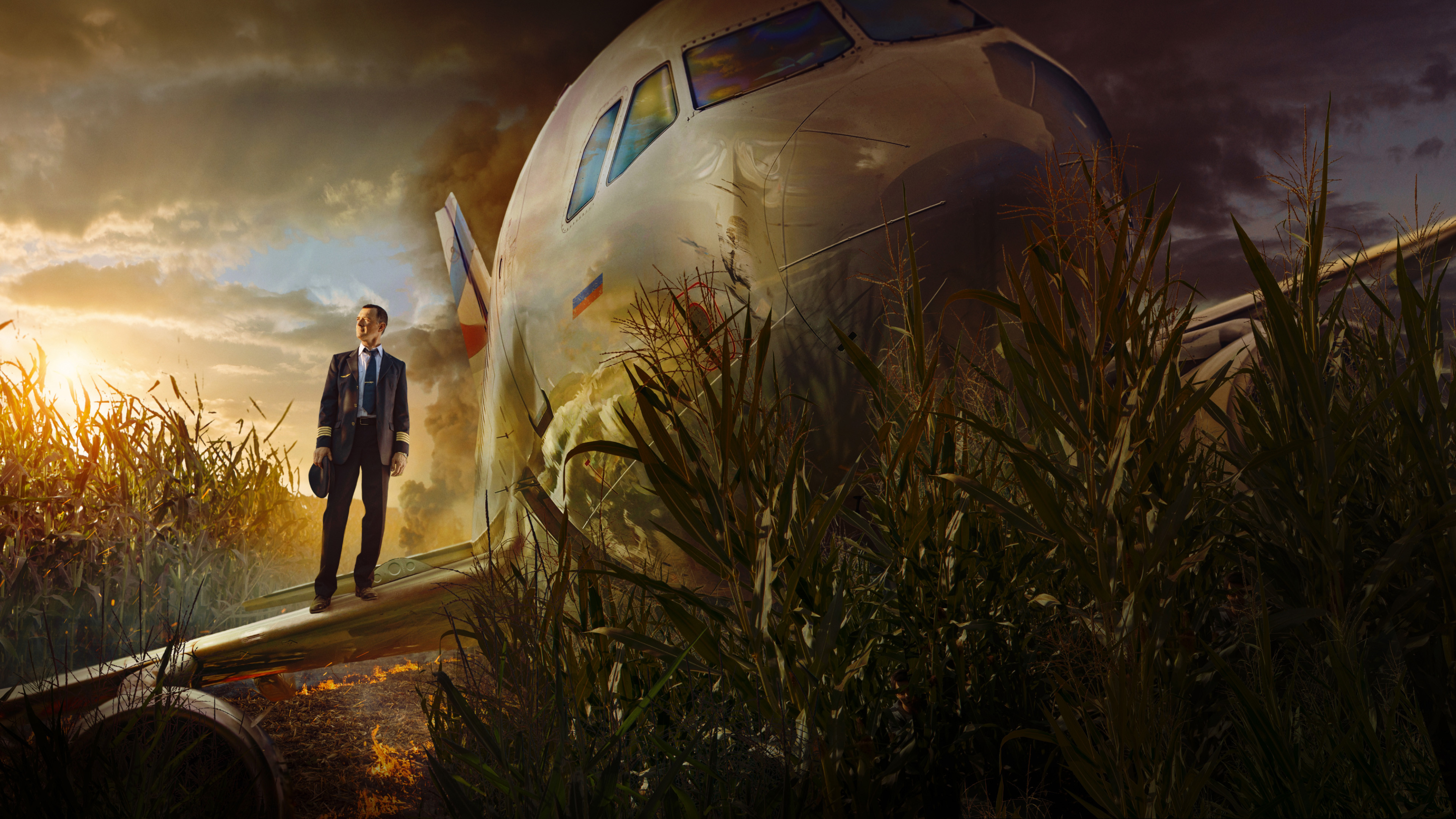 На солнце, вдоль рядов кукурузы