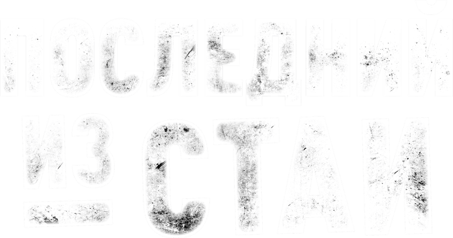 Последний из стаи