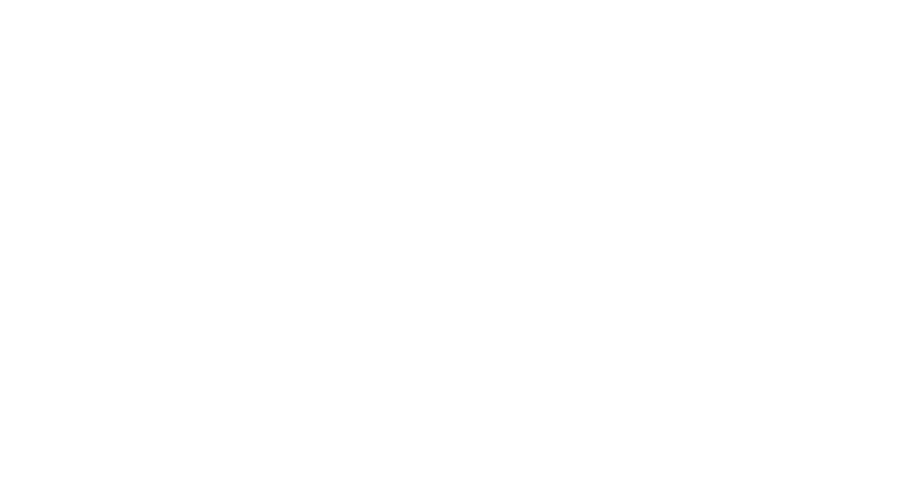 Самозванцы