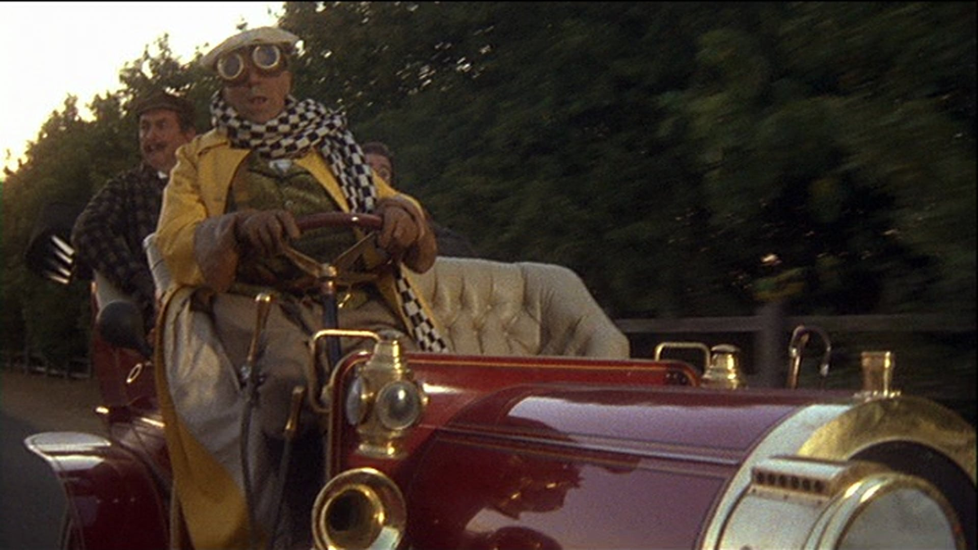 Удивительные животные-актёры Голливуда