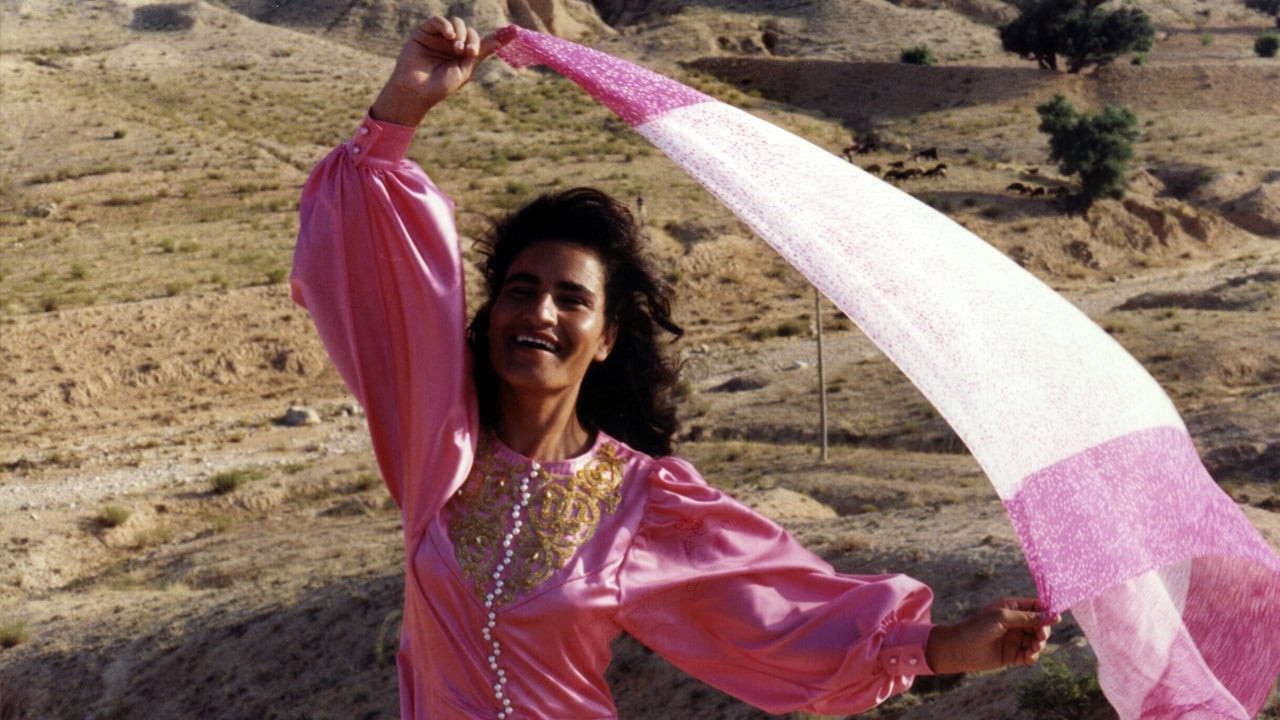 Равноденствие, сад роз