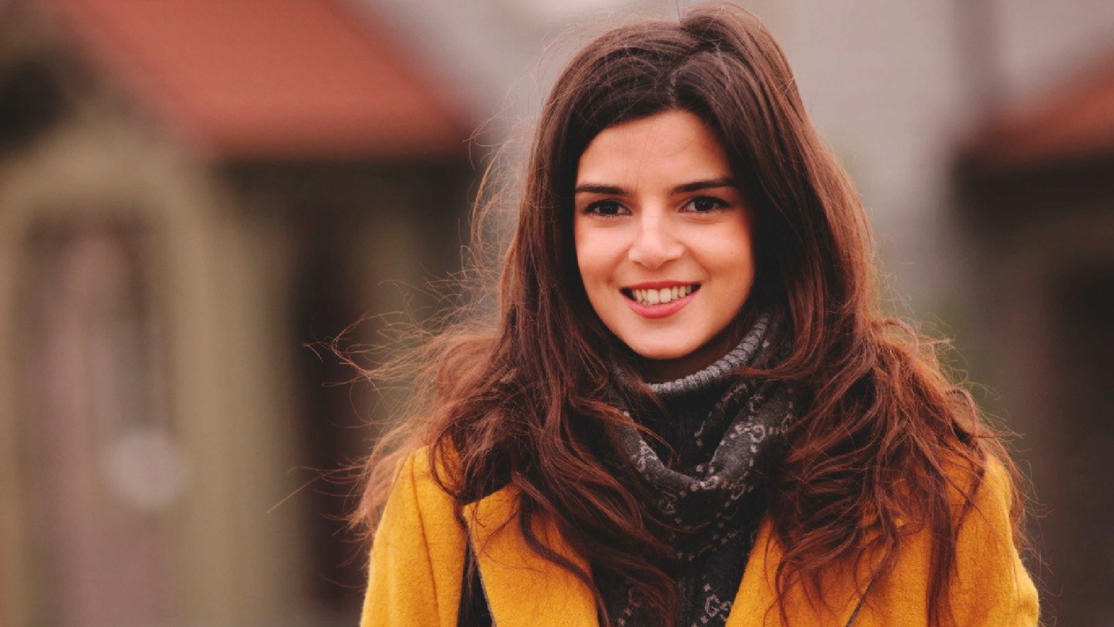 Переводчик (2015)