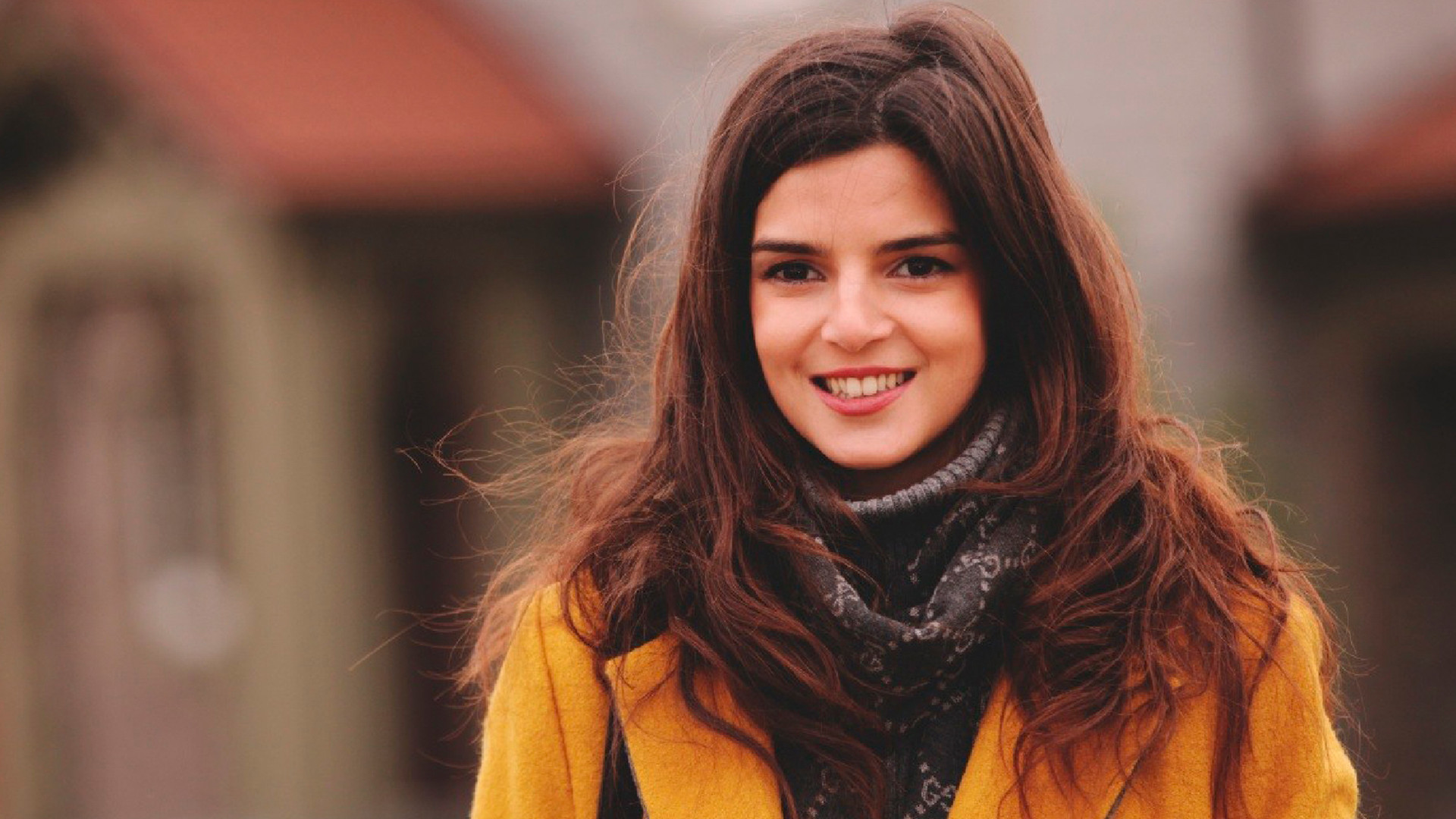 Переводчик (2015)