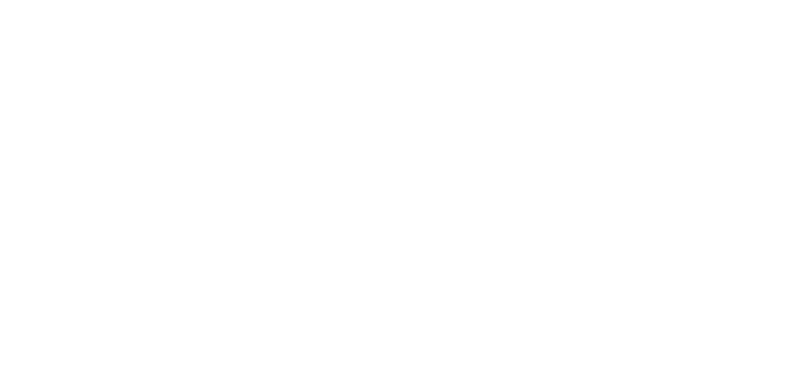 Доктор Лиза