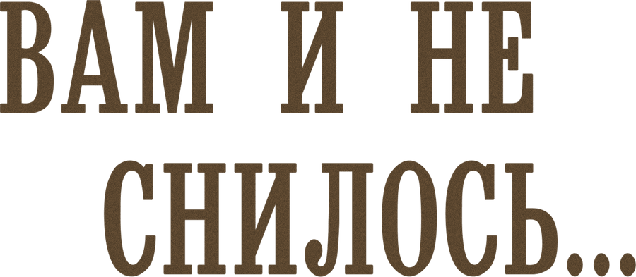 Вам и не снилось...